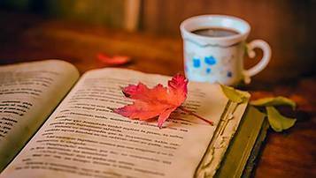 云南網絡教育專升本有哪些考試科目