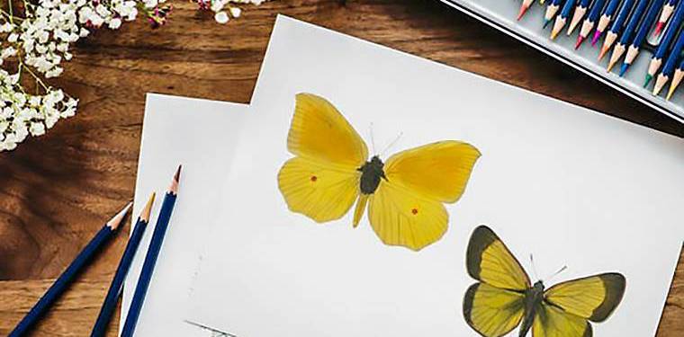 2018年自考《C程序設計》復習資料