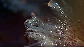 會(huì)計(jì)法與審計(jì)法2021年自考最新復(fù)習(xí)資料