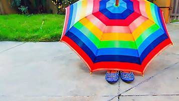 國家開放大學吉林分部網絡教育招生簡章