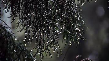 河南2021成人高考高起本、高起專考哪些科目