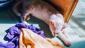 成人高考2021專升本英語考前押題密卷