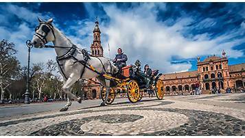 2021吉林成人高考成績查詢系統什么時候開通