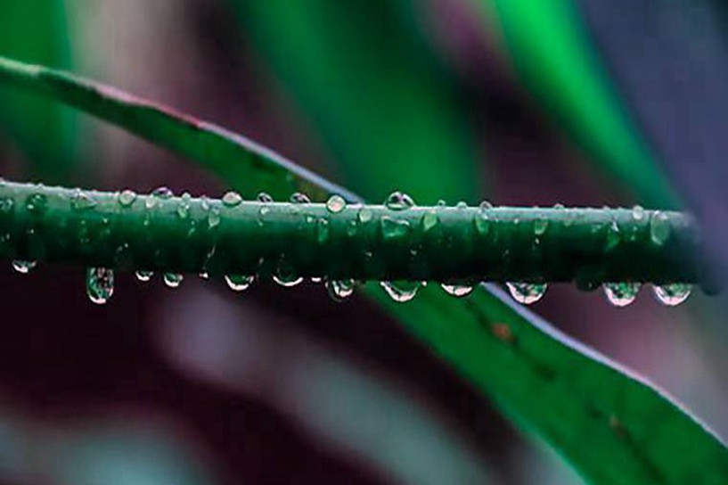 2018年重慶成人高考成績什么時候可以查詢 2018年重慶成人高考成績什么時候可以查詢