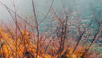 上海自考成績查詢系統(tǒng)開通時(shí)間和以前一樣嗎