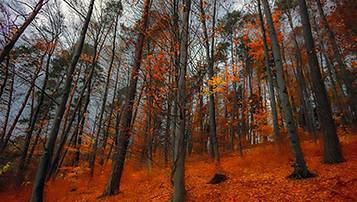 吉林自考成績查詢系統(tǒng)什么時(shí)候開通