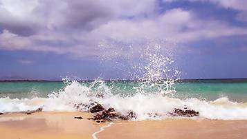 江西2021自考考試具體的課程安排和規定