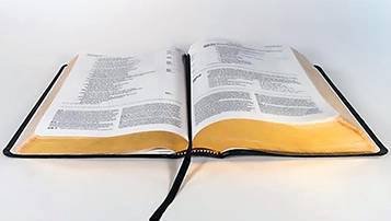 黑龍江大慶成人高考成績什么時候可以查詢