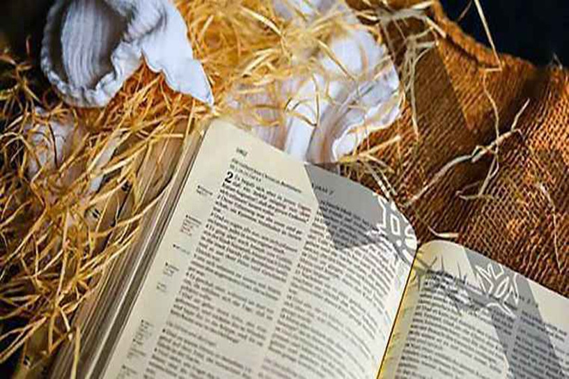 2020年青海成人高考報名時間是什么時候 2020年青海成人高考報名時間是什么時候