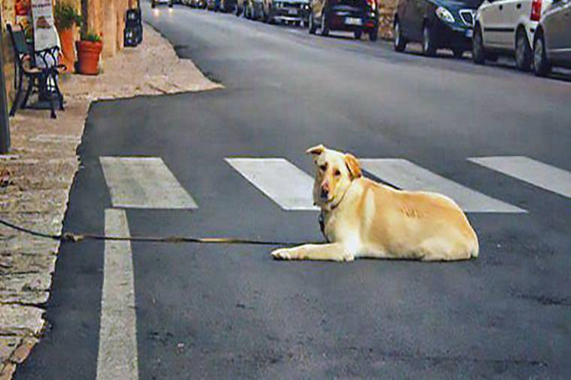 2020年新疆成人高考報名時間是什么時候