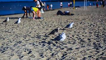 江蘇省成人高考2021錄取結果什么時候開始查詢