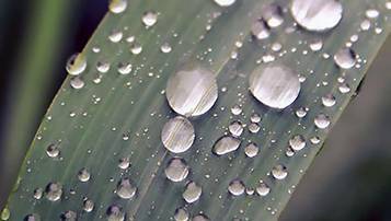 青海省成人高考2021錄取結果查詢開通時間