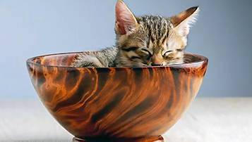 2021福建成人高考考試時(shí)間跟去年一樣嗎