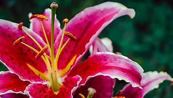 2021北京成人高考考試時(shí)間大概是什么時(shí)候