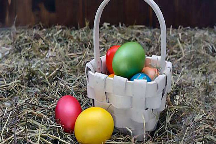 2020年吉林成人高考學位英語考試時間 2020年吉林成人高考學位英語考試時間