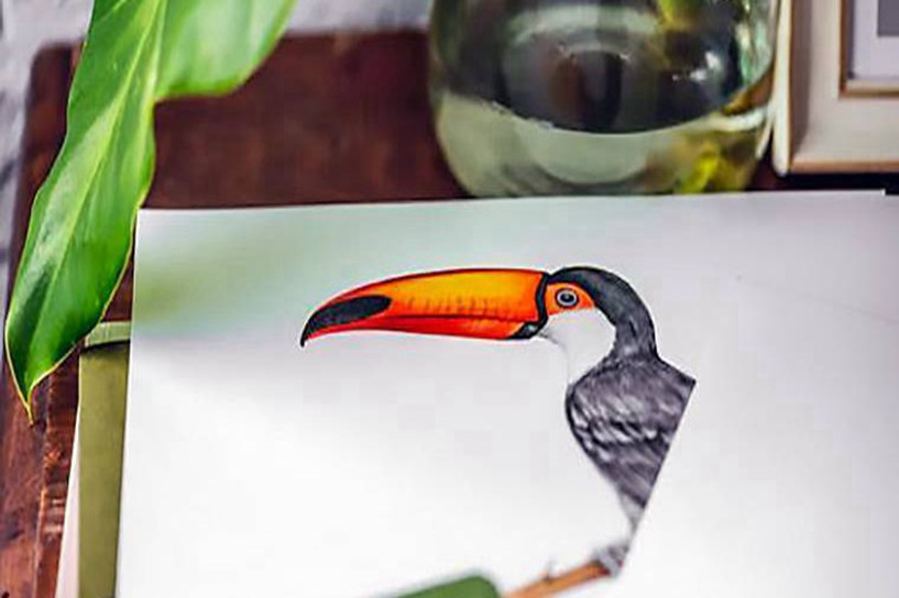 函授本科首次報名怎么做 需要注意什么 函授本科首次報名怎么做 需要注意什么