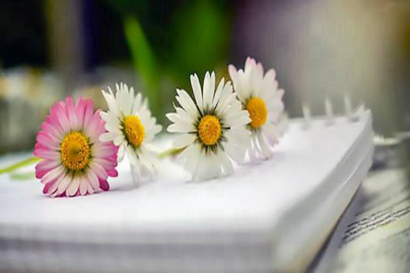 2020年自考時(shí)間是什么時(shí)候 可以選擇哪些專(zhuān)業(yè) 2020年自考時(shí)間是什么時(shí)候 可以選擇哪些專(zhuān)業(yè)