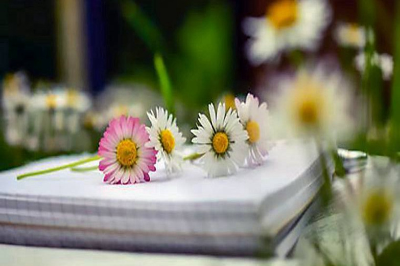 2020年成人自考本科報名時間是什么時候 2020年成人自考本科報名時間是什么時候