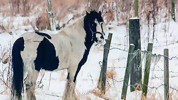 成人高考考試一般考什么科目