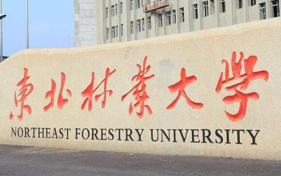 東北林業大學成人教育學院招生專業【最新】
