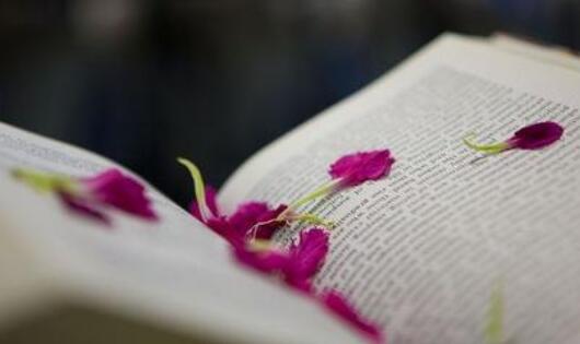 中國早期共產(chǎn)黨組織出版的通俗工人讀物有(　)__《中國近現(xiàn)代史綱要》自考真題解析