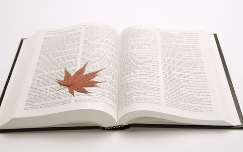 洋務派創辦的第一個規模較大的近代軍事企業是(　)__自考《我國近現代史綱要》真題