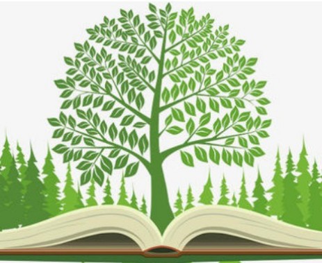 下列小說作品中，構思視角獨到，以小見大的有(　)__自考《大學語文》真題