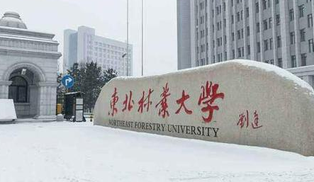 東北林業大學成人高考2021年專業【最新】
