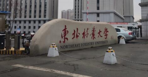 東北林業大學成人教育學院招生專業【最新】