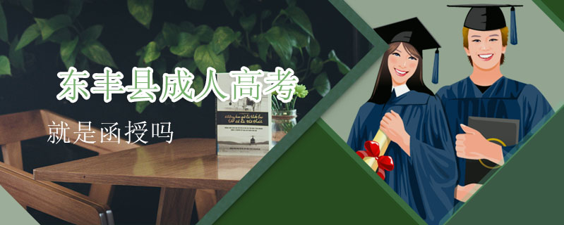 東豐縣成人高考就是函授嗎